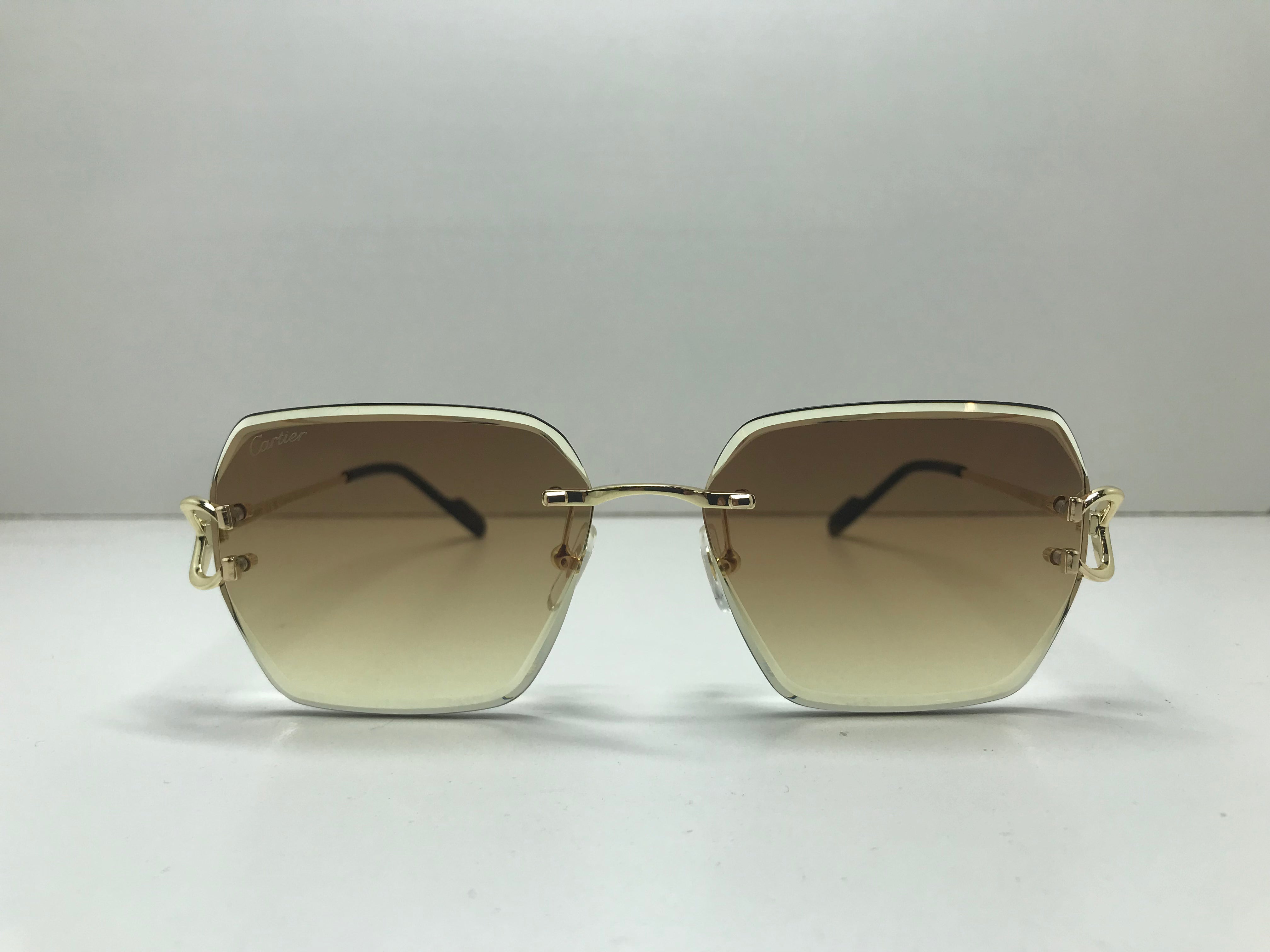 Cartier ct0466s