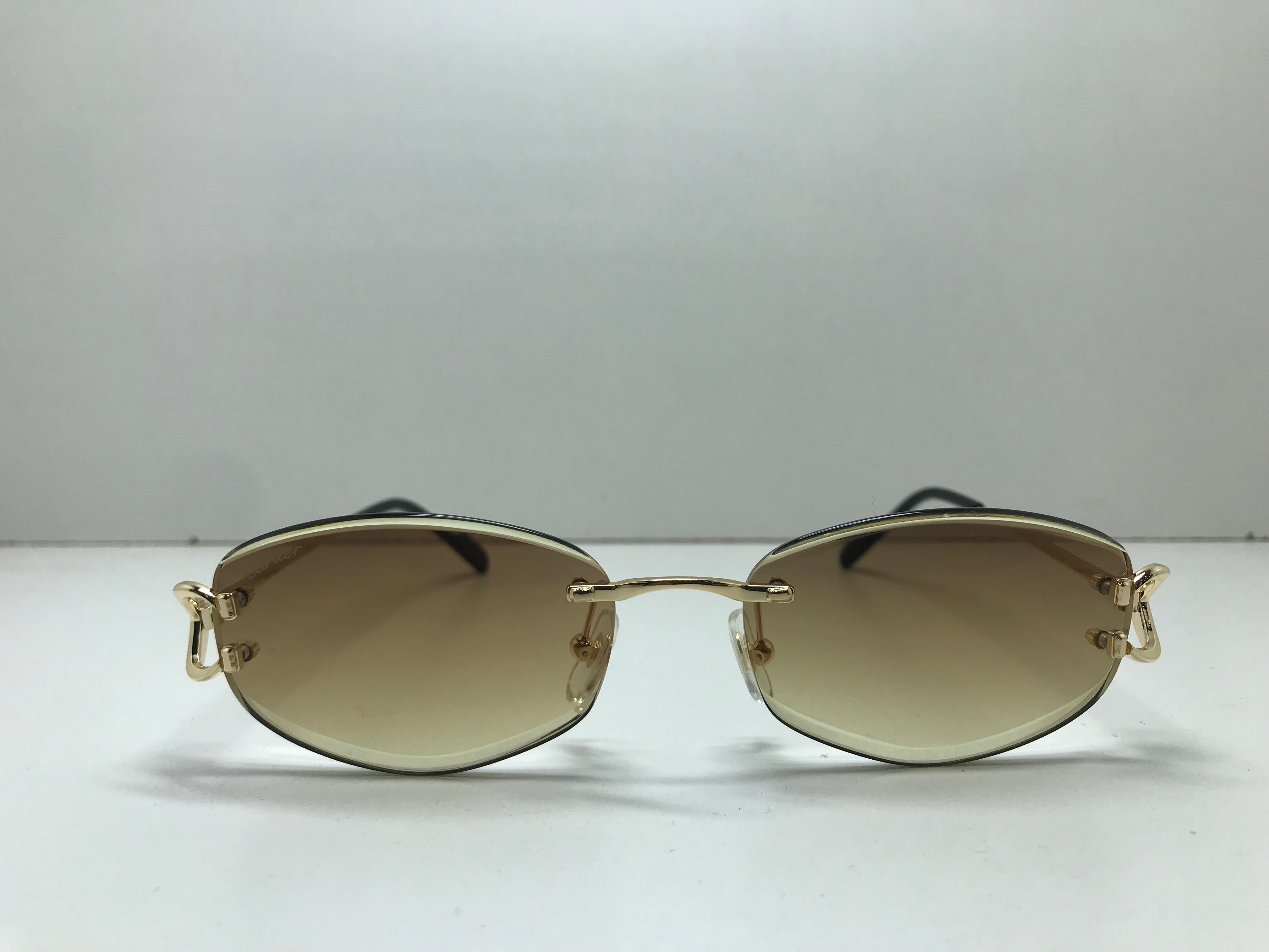 Cartier ct0467s